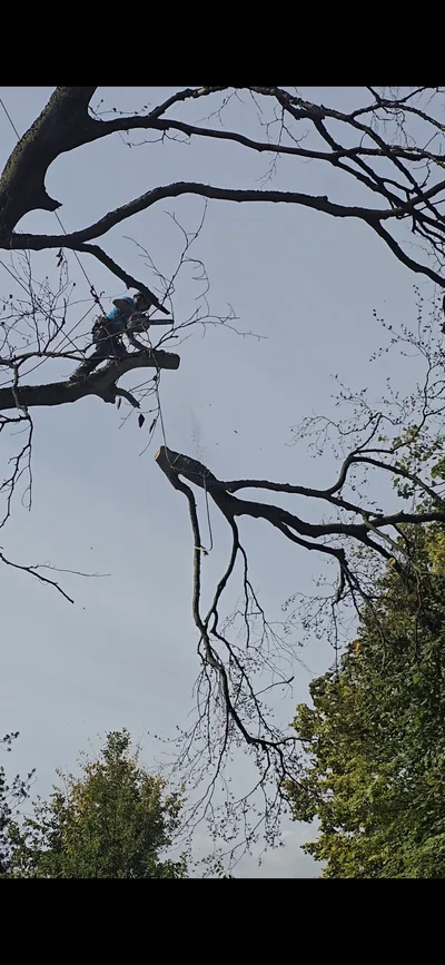 Démontage avec rétention